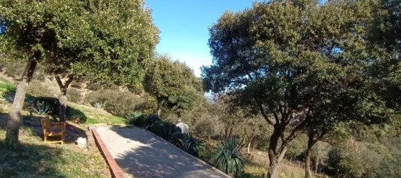 4 bedrooms House in Ceret, France No. 319358 14