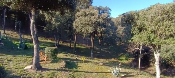 4 bedrooms House in Ceret, France No. 319358 11