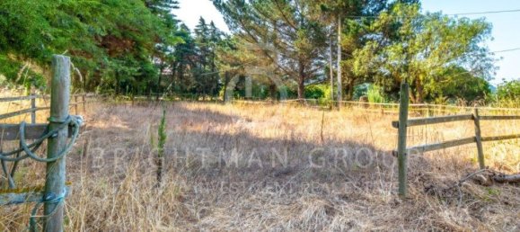 6 bedrooms House in Obidos, Portugal No. 296721 18