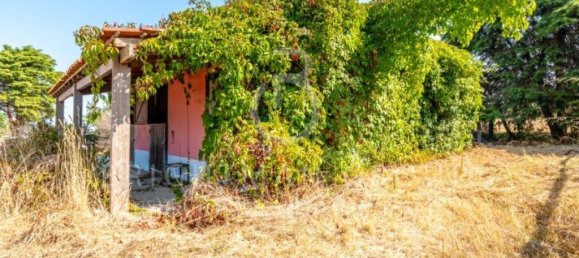 6 bedrooms House in Obidos, Portugal No. 296721 16