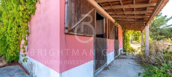 6 bedrooms House in Obidos, Portugal No. 296721 15