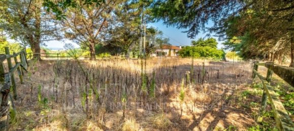 6 bedrooms House in Obidos, Portugal No. 296721 17