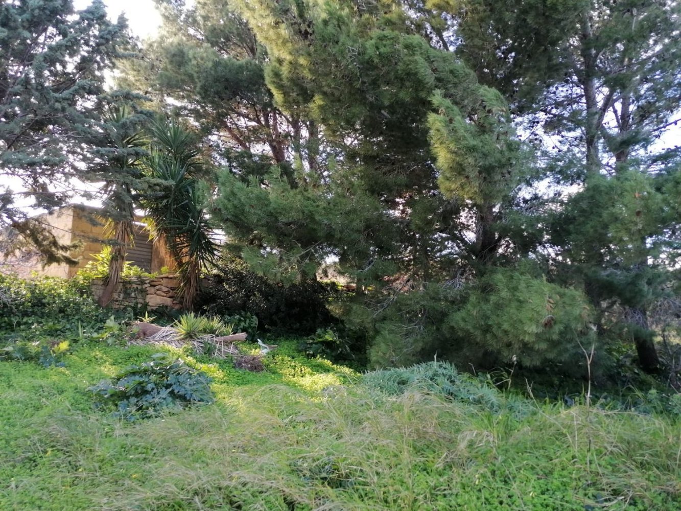 Terrain à Salemi, Italy 2000m² No. 111570