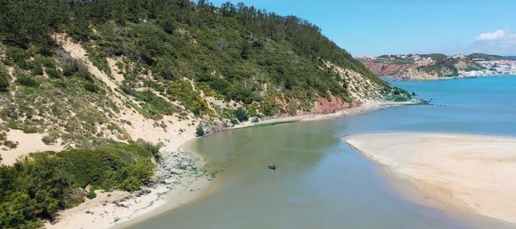 3 bedrooms Villa in Caldas da Rainha, Portugal No. 139171 6