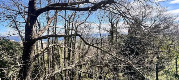 3 rooms House in Valentano, Italy No. 283422 24