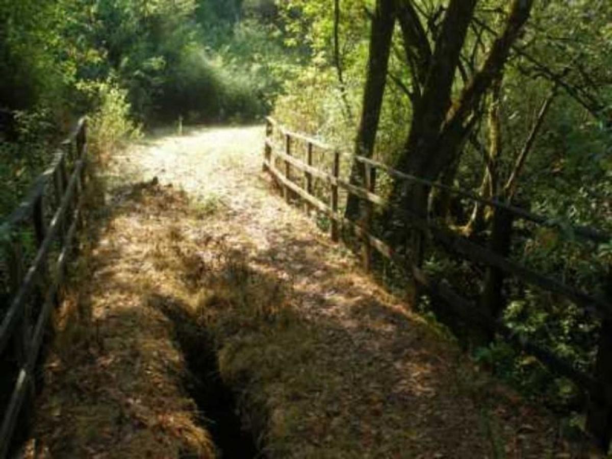 Земельный участок в Мехико, Мексика № 204095