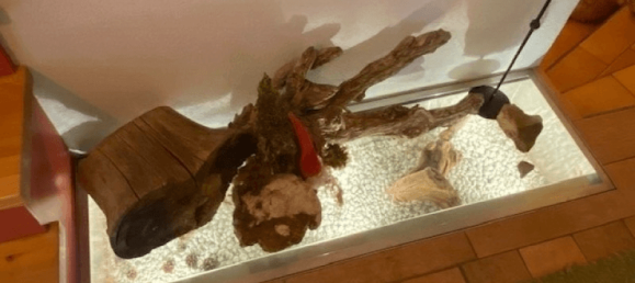 3 bedrooms House in Pfaffenhofen, Austria No. 193510 31