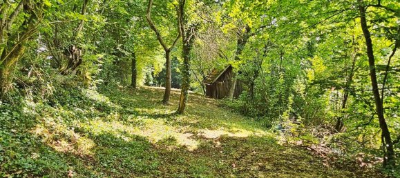  Land in Rems-Murr-Kreis, Germany No. 307313 8