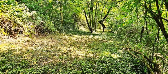  Land in Rems-Murr-Kreis, Germany No. 307313 2