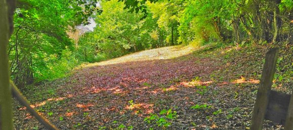  Land in Rems-Murr-Kreis, Germany No. 307313 6