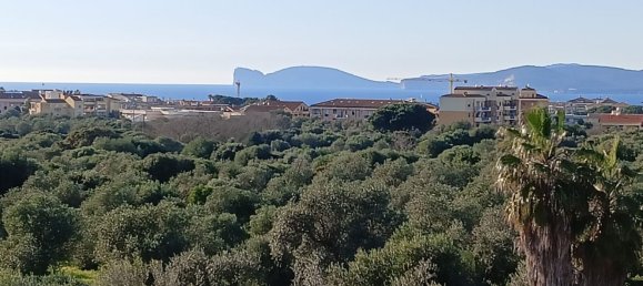 8-Zimmer Haus in Alghero, Italy, Nr. 108054 43