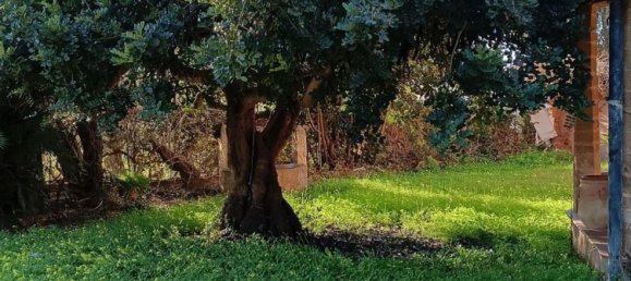 8-Zimmer Haus in Alghero, Italy, Nr. 108054 27