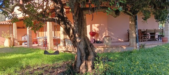 8-Zimmer Haus in Alghero, Italy, Nr. 108054 29