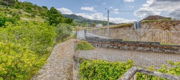 5 Schlafzimmer Haus in Resende, Portugal, Nr. 183696 30