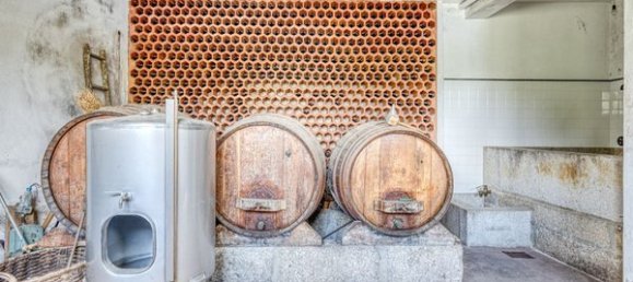 5 Schlafzimmer Haus in Resende, Portugal, Nr. 183696 27