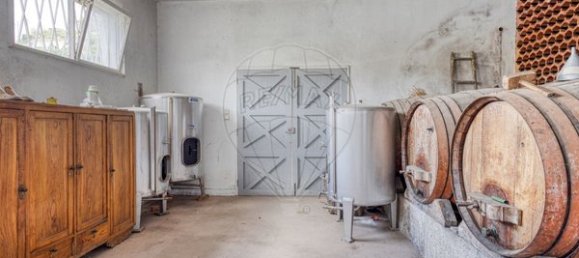 5 Schlafzimmer Haus in Resende, Portugal, Nr. 183696 28