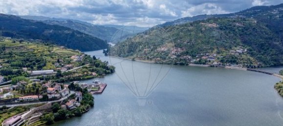 5 Schlafzimmer Haus in Resende, Portugal, Nr. 183696 3