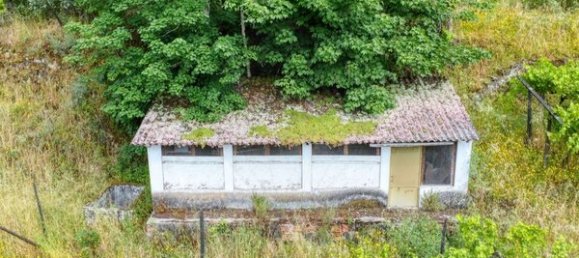 5 Schlafzimmer Haus in Resende, Portugal, Nr. 183696 8