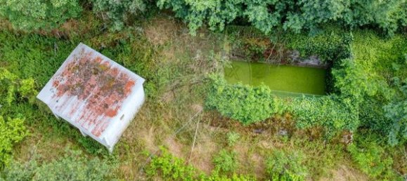 5 Schlafzimmer Haus in Resende, Portugal, Nr. 183696 9