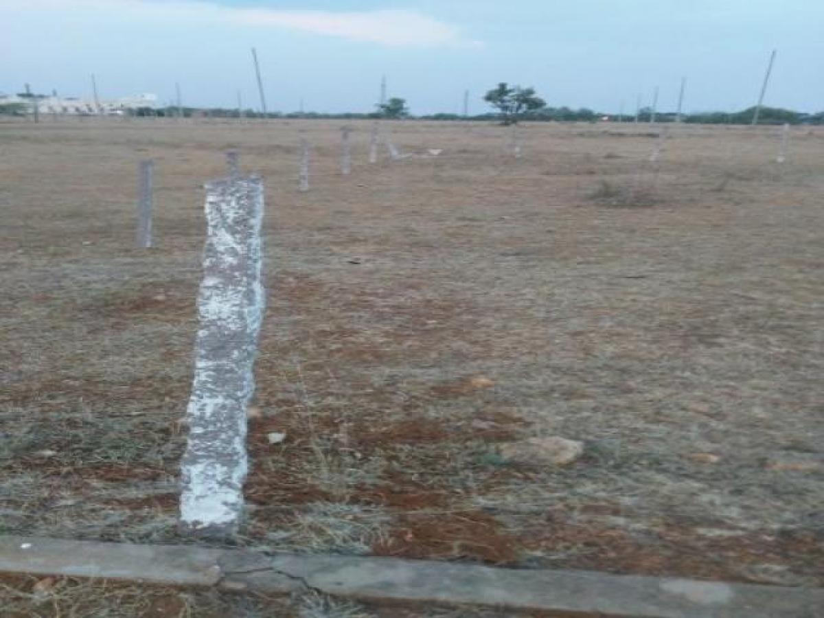 Grundstück in Hyderabad, India, Nr. 31110