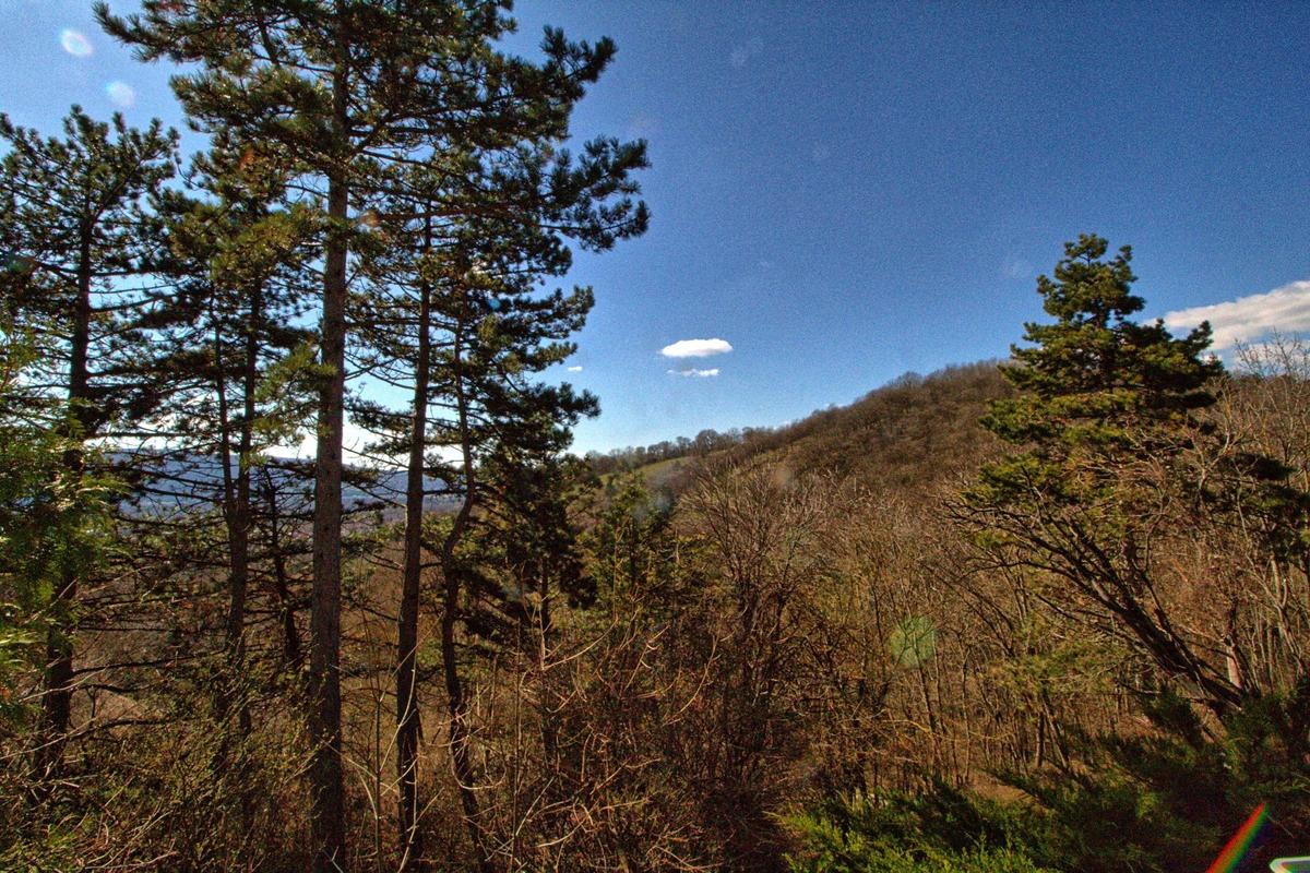 747m² Land in Vienna, Austria No. 162919