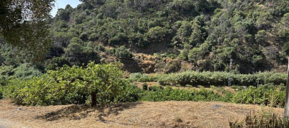 13391m² Land in Estepona, Spain No. 147723 15