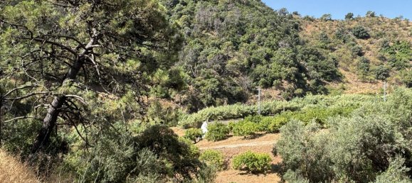 13391m² Land in Estepona, Spain No. 147723 3