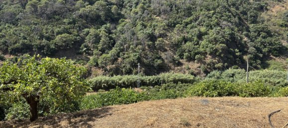 13391m² Land in Estepona, Spain No. 147723 17