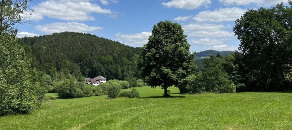 Casa de 6 divisões em Pierbach, Austria N.º 97567 2