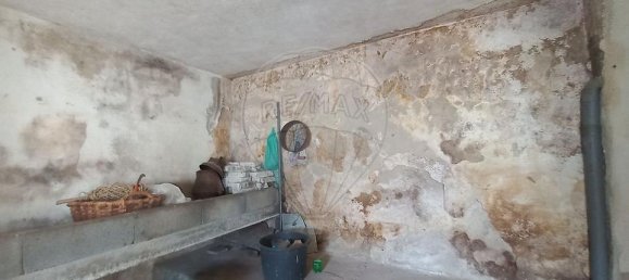 1 bedroom House in Horta, Portugal No. 24685 15