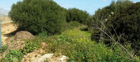 7445m² Land in Portopalo di Capo Passero, Italy No. 84925 3