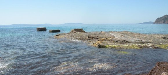 Terrain à Rayol-Canadel-sur-Mer, France No. 197389 6