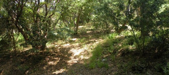 Terrain à Rayol-Canadel-sur-Mer, France No. 197389 12