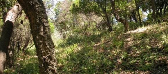 Terrain à Rayol-Canadel-sur-Mer, France No. 197389 14