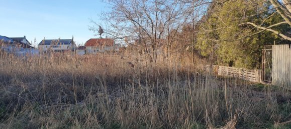  Land in Gols, Austria No. 70033 4