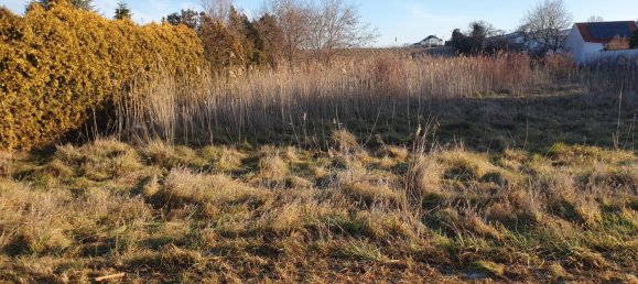  Land in Gols, Austria No. 70033 3