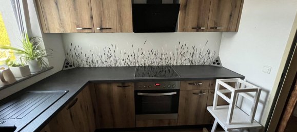 3 bedrooms House in St. Marienkirchen an der Polsenz, Austria No. 249705 8