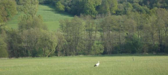 3 bedrooms House in Wetteraukreis, Germany No. 19822 14