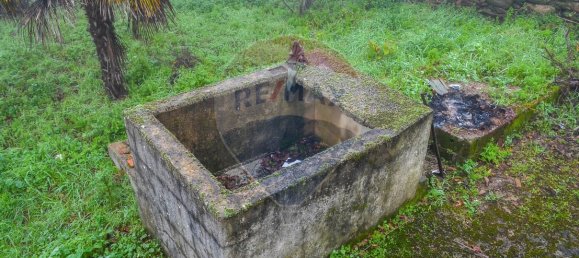 5 bedrooms House in Favaios, Portugal No. 187809 15