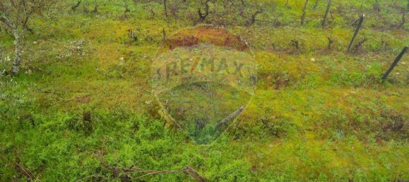 5 bedrooms House in Favaios, Portugal No. 187809 25