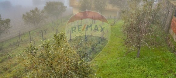 5 bedrooms House in Favaios, Portugal No. 187809 24