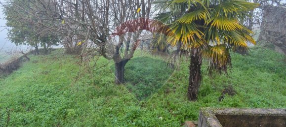 5 bedrooms House in Favaios, Portugal No. 187809 14