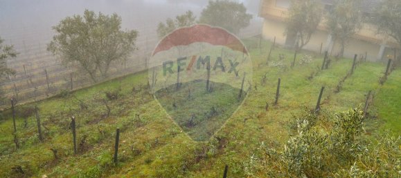 5 bedrooms House in Favaios, Portugal No. 187809 26