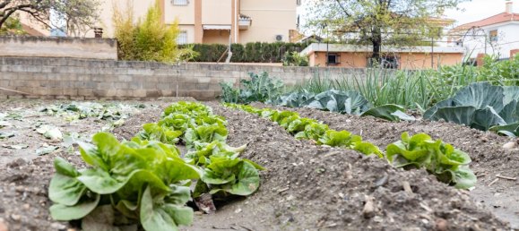 Terreno em Cajar, Spain 714 m² N.º 172010 17