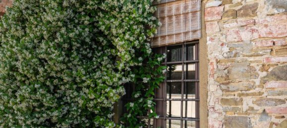 13 bedrooms House in Florence, Italy No. 207103 18