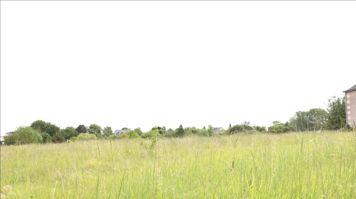 Terrain à Vallières-les-Grandes, France 1182m² No. 92342