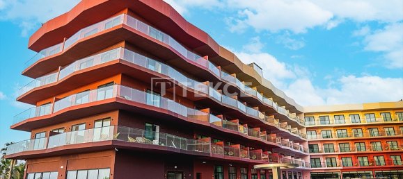 1 bedroom Hotel in The World Islands, UAE No. 15413 4