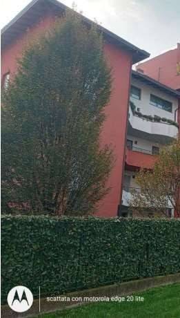 1 bedroom Apartment in Legnano, Italy No. 295277