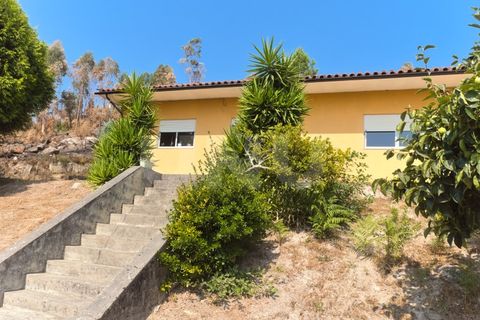 3 bedrooms House in Penafiel, Portugal No. 305943