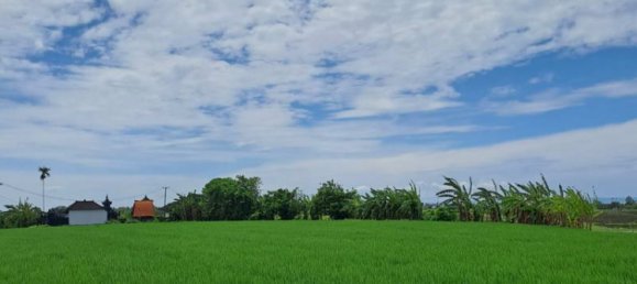 Земельный участок 2800м² в Tabanan, Индонезия № 3701 3